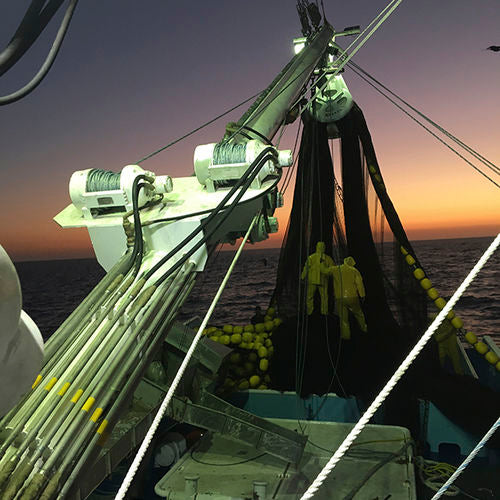 Polea de cerco (purse seine block)