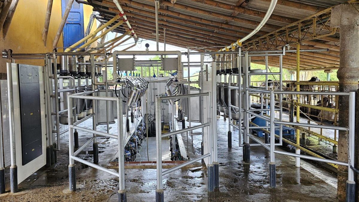 Plataforma de ordeño elevada