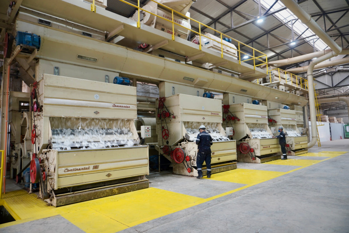 Desmotadoras de algodón alimenticio