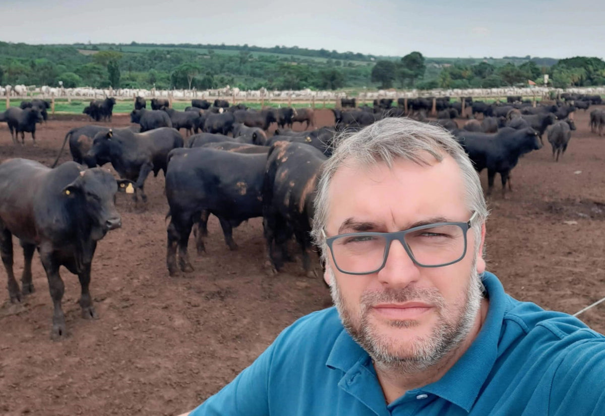 Alimentación y mezcla (populares por optimización de raciones en feedlots)