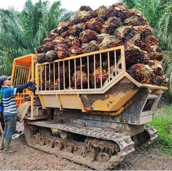 Camión volquete de oruga