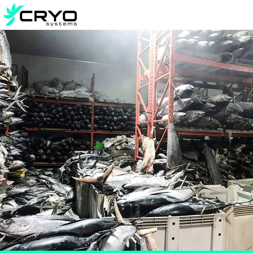 Refrigeración y almacenamiento (búsquedas en conservación en alta mar)