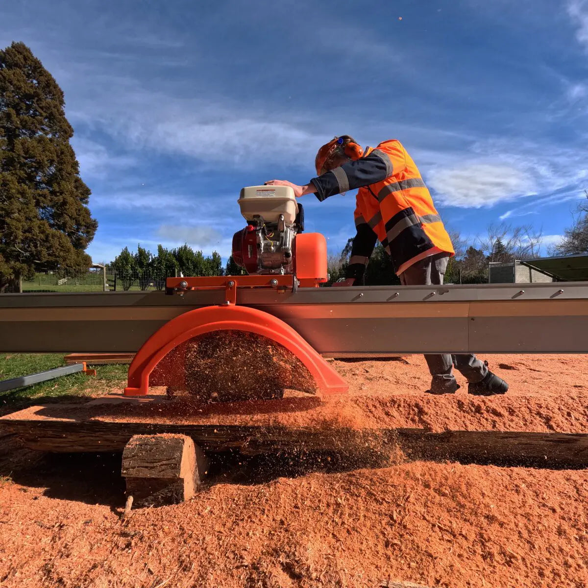 Sierra de doble arbor