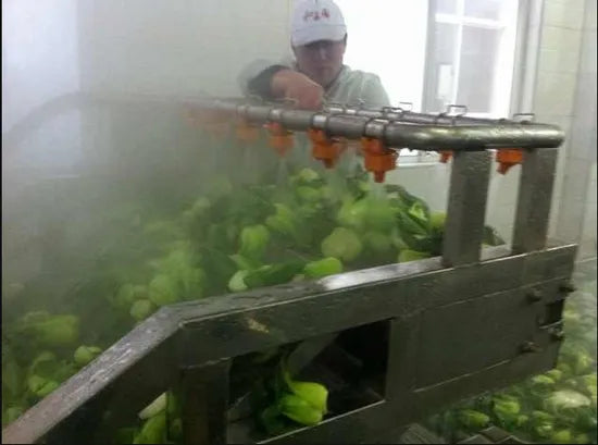 Escaldadores de productos