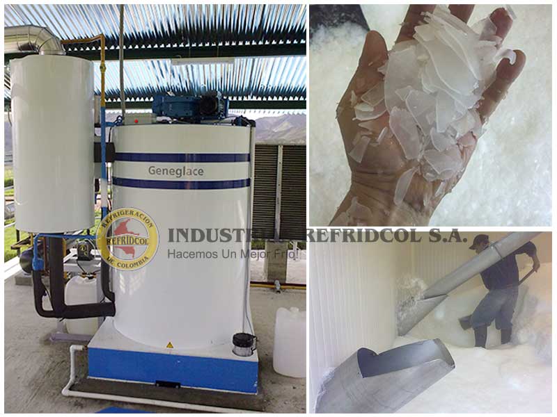 Máquina de hielo en escamas