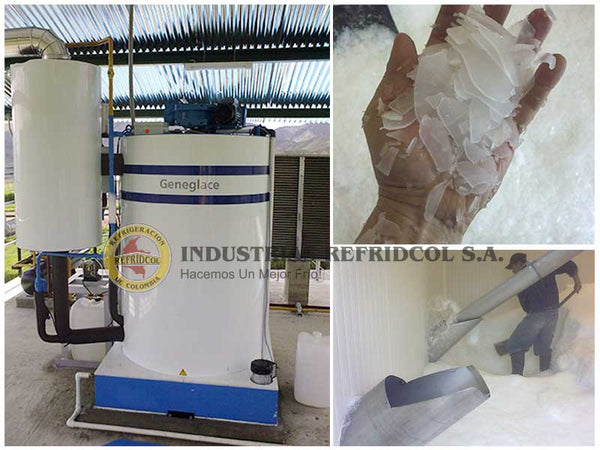 Máquina de hielo en escamas