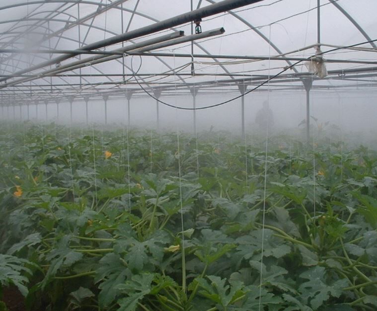 Riego por nebulización