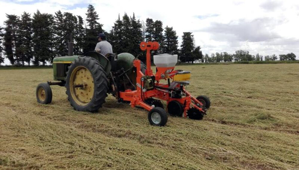 Sembradora de huerta