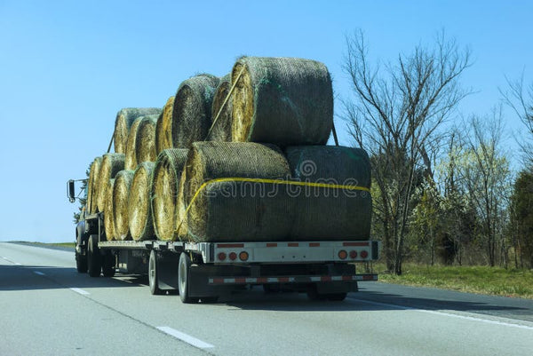 Cama de transporte de heno